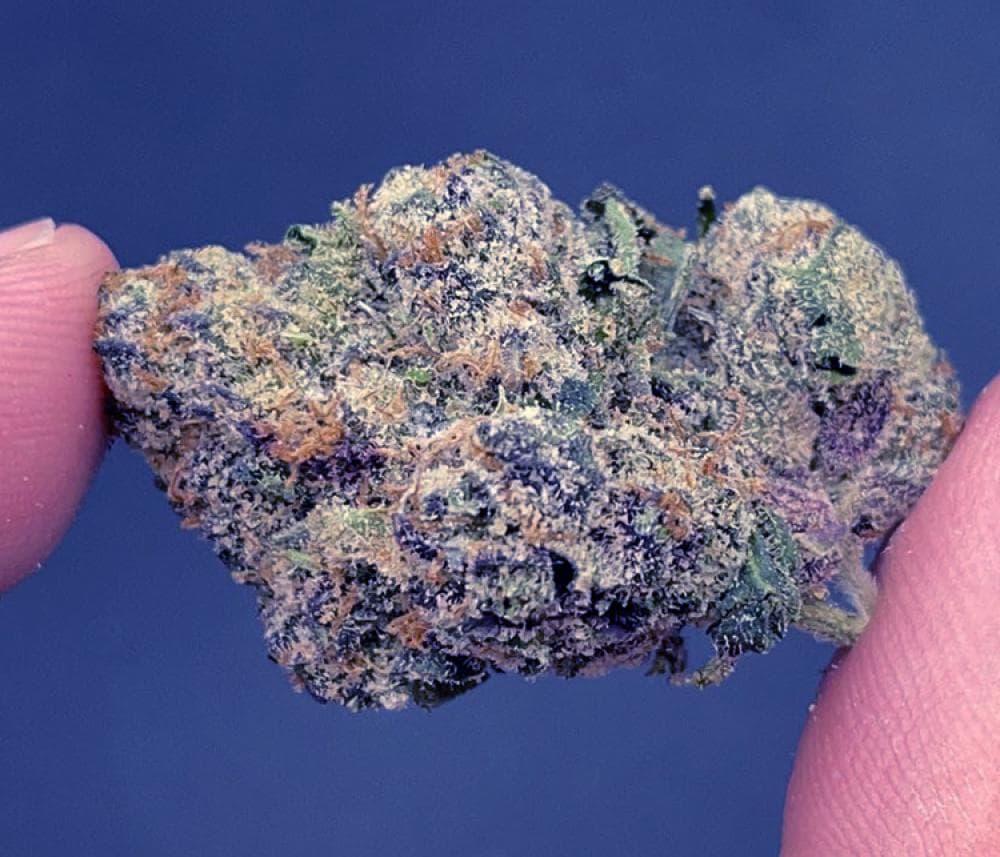 Tauchen Sie ein in die Welt von Pineapple Express #2 - Ein Muss für Cannabis-Liebhaber!