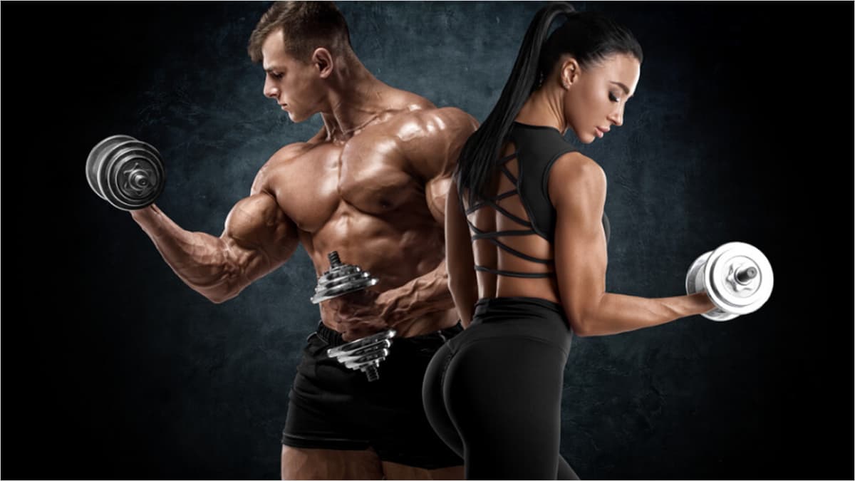 Universal Nutrition Produkte bei Fatburnerking: Ihre Quelle für Supplements